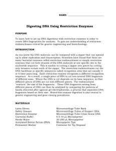 Restriction enzyme digests