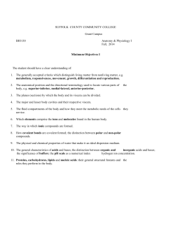 trends in fashion essay western