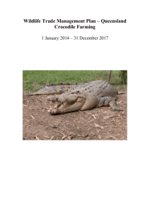 Wildlife Trade Management Plan – Queensland Crocodile Farming