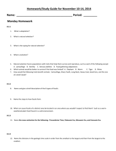Homework/Study Guide for November 10