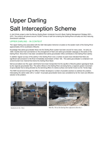 Upper Darling - salt interception scheme [doc 556.5 KB]