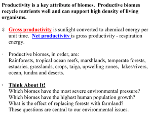 03 KM Lecture - Productivity