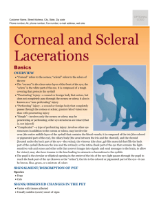 corneal_and_scleral_lacerations