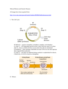 Mitosis/Meiosis and Genetic Diseases