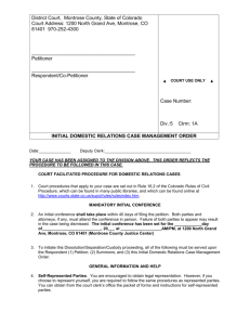 Montrose County, Colorado district court INITIAL DOMESTIC