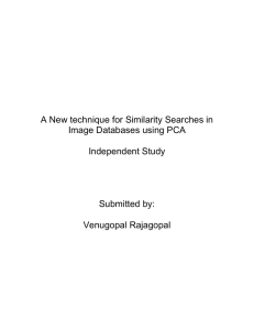 Similarity Searches in Image Databases