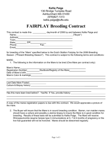 FAIRPLAY Breeding Contract