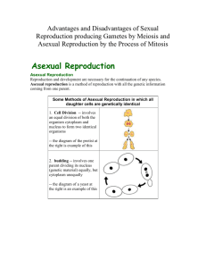 Advantages and Disadvantages of Sexual Reproduction producing