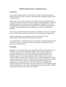 Gold Ray Dam Noxious Weed Report