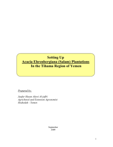 Acacia Ehrenbergiana - Spate Irrigation Network