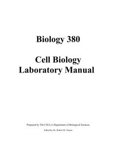 how to keep your cell biology lab notebook