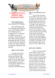 January 2014 Newsletter - Carrickmacross Veterinary Centre