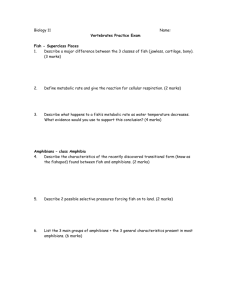 Vertebrates – study guide