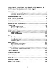 Egr1 Gene Choice Summary