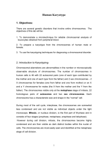 Trisomy 18 (Edwards Syndrome)