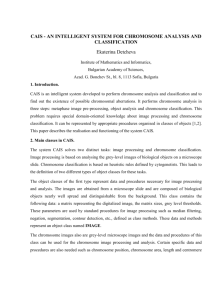 cais - an intelligent system for chromosome analysis and classification