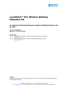 DuraBright™ ECL Western Blotting Detection Kit