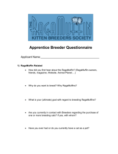 Apprentice Breeder Questionnaire - The RagaMuffin Kitten Breeders