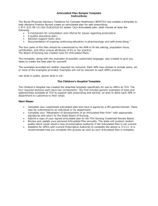 Articulated Plan Sample Template Instructions The Nurse