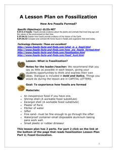 A Lesson Plan on Fossilization