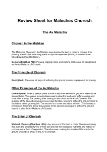 Review Sheet for Maleches Choresh
