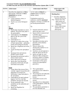 AS 90463 Describe diversity in the structure and function of plants