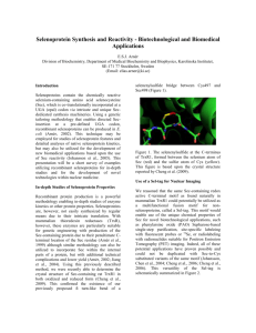 Bioactivity of Selenium-Enriched Brassica