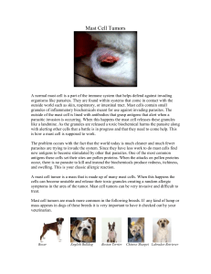 Mast Cell Tumors - Bardstown Veterinary Clinic