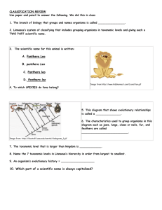 Interpreting Graphics