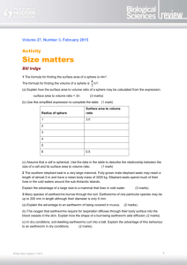 Activity: Size matters student worksheet
