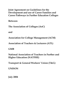 Guidelines for the development and use of career families