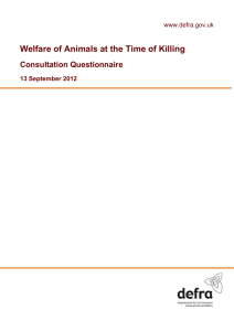 Welfare of Animals at the Time of Killing - Consultation