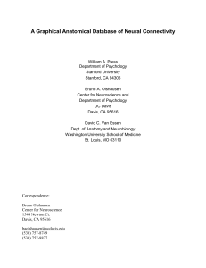 A Graphical Anatomical Database of Neural Connectivity