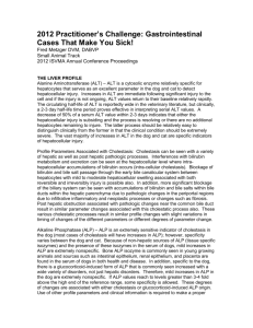 2011 Video Practitioner`s Challenge