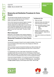 Biosecurity and Disinfection Procedures for Horse Owners
