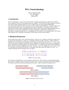 DNA Nanotechnology paper