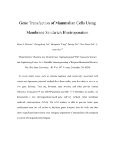 Gene Transfection of Mammalian Cells Using Membrane Sandwich