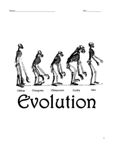 Mutations, Evolution, Fitness & Darwin
