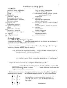 Genetics unit study guide