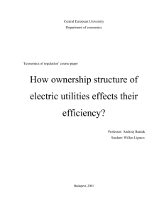 How ownership structure of electric utilities effects their efficiency
