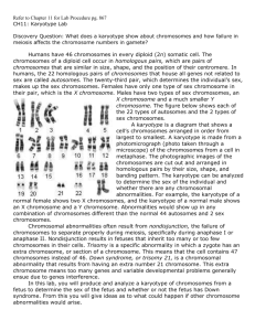 Refer to Chapter 11 for Lab Procedure pg. 867 CH11: Karyotype