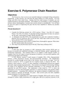 Exercise 6. Polymerase Chain Reaction