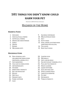 101 things you didn`t know could harm your pet Presented by
