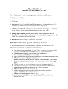 Lab Report Guideline for Project I