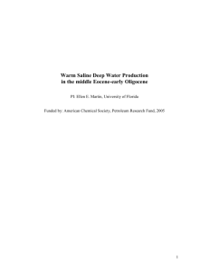 Warm Saline Deep Water Production in the Eocene