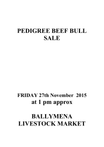 PEDIGREE BEEF BULL SALE - Ballymena Livestock Market