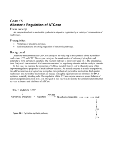 Case 16 Allosteric Regulation of ATCase Focus concept An enzyme