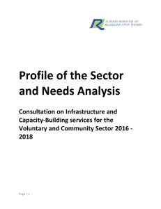 Profile of the Sector and Needs Analysis