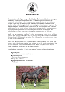 Routine Dental care. - The Acorns Equine Clinic