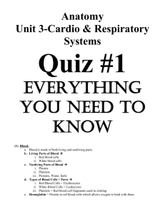 Unit 3-Quiz #1 Everything You Need to Know